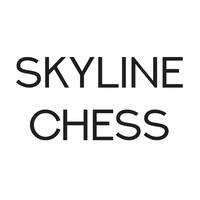 Skyline Chess Ltd logo - Similar company to Chess.Sg