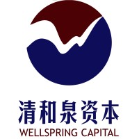 Wellspring Capital Management Co LTD logo - Similar company to Evermore Real Estate Partners