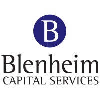 Blenheim Capital Services Limited logo - Similar company to Intuitive Deep Learning