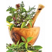 Amlaki Herbal logo - Similar company to Chartered Global Human Resources