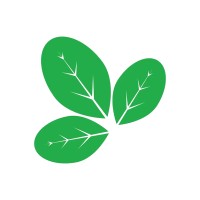 Oringa logo - Similar company to Ravi Kabra- Exim Training