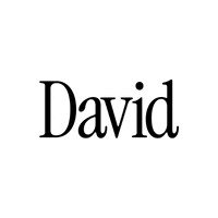 David logo - Similar company to Jai Development