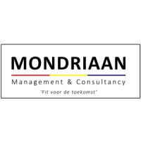 Mondriaan Management & Consultancy B.V. logo - Similar company to Argeweb
