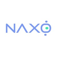Naxo Tech logo - Similar company to Fictionworks