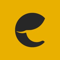 Chola Tech logo - Similar company to Laura Infotech