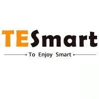 hdmi switch tesmart logo - Similar company to Hdmi King