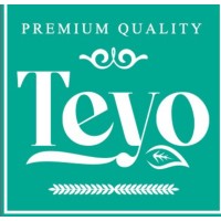 Teyo Group logo - Similar company to Cinemedia