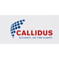 Callidus Engineering Services Pvt. Ltd. logo - Similar company to Molethu Pmc Pvt Ltd
