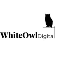 WhiteOwl Digital logo - Similar company to Whiteowl
