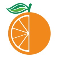OrangeTechLab logo - Similar company to Techno Career Tips Pvt. Ltd.