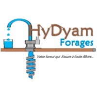 HYDYAM FORAGES SARL logo - Similar company to Uppersoft Group