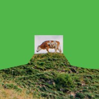 NATworking logo - Similar company to Mares