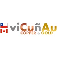Vicunau Metals - Copper & Gold logo - Similar company to Sagedata Solutions Inc.