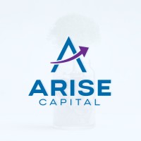Arise Capital Management logo - Similar company to Btdt Hub