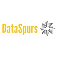 DataSpurs