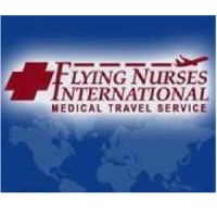 Flying Nurses International logo - Similar company to Commission On Accreditation Of Medical Transport Systems Europe (Camts Eu)