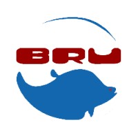PT.BELIDA RAYA UTAMA logo - Similar company to Pt Triaryani