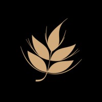 Grupo Arte Trigo logo - Similar company to Looop