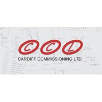 Cardiff Commissioning Limited logo - Similar company to The Forth Pillar