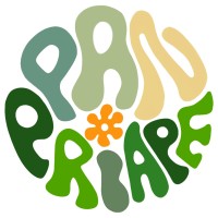 PANPRIAPE logo - Similar company to Made Curated