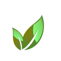 Cogneum ESG