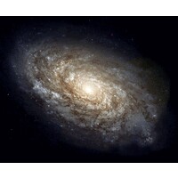 Velaris AI logo - Similar company to Tm Labs