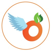 Flying Orange logo - Similar company to Rlq Llc