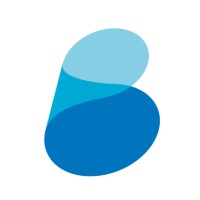 Brasão Sistemas logo - Similar company to Tools Informática