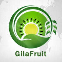 GilaFruit logo - Similar company to Mivery® - Global Fresh Fruit Tech., Llc