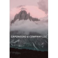 Caponegro & Company LLC logo - Similar company to Dramafy