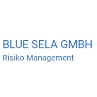 Blue Sela GmbH logo - Similar company to Rfhm Gmbh