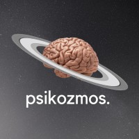 psikozmos. logo - Similar company to Delta Sports & Outdoor