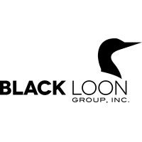 Black Loon Group logo - Similar company to Mining Investor Relations