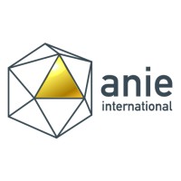anie international logo - Similar company to 3B3.Ventures