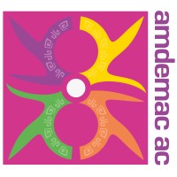 AMDEMAC logo - Similar company to Xifra Group