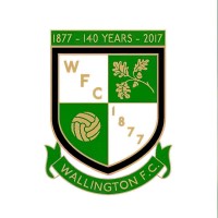 Wallington Football Club logo - Similar company to Evolve