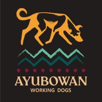 Ayubowan Working Dogs logo - Similar company to Skylos Ecology Pty Ltd