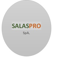 SalasPRO SpA logo - Similar company to Lean Technology Services