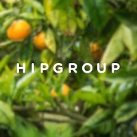 Hipgroup logo - Similar company to Hip Performance Group