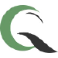 Questro International logo - Similar company to Tpc Transfer Pricing Compliance Stb Gmbh