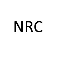 Nicolas Ronderos Consulting