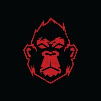 DevsMonkeys logo - Similar company to Codaro