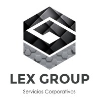 LEX GROUP logo - Similar company to Ecarcharger.Store - Online Store For Electric Car Chargers And Cables