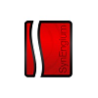 Synengium Business & Consulting