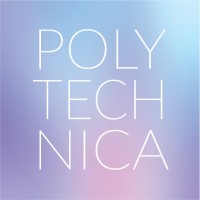 POLYTECHNICA logo - Similar company to Indigo Rock