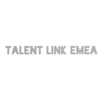 Talent Link EMEA logo - Similar company to Talent Link Solutions