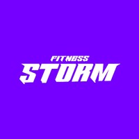 Fitness Storm logo - Similar company to Video Wisdom