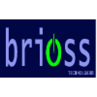 Brioss technologies logo - Similar company to Ago It Solutions