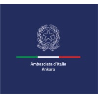 Italy in Türkiye 🇹🇷 logo - Similar company to Bettinelli Srl
