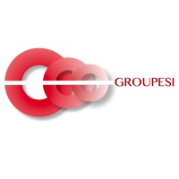 GroupESI logo - Similar company to Lgv Srl